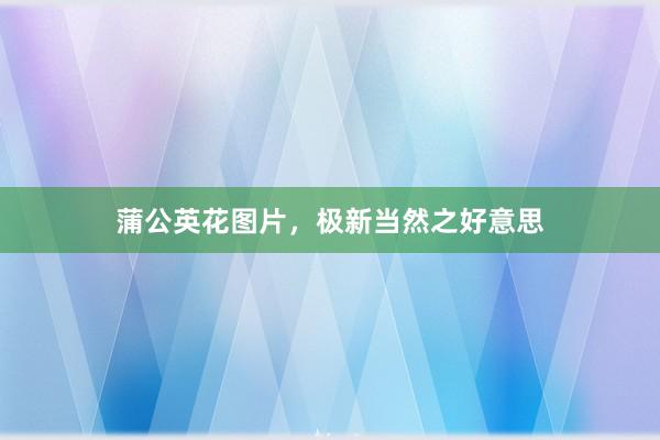 蒲公英花图片，极新当然之好意思