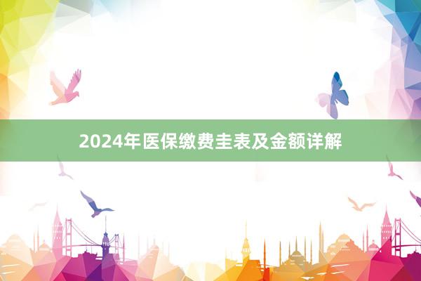 2024年医保缴费圭表及金额详解