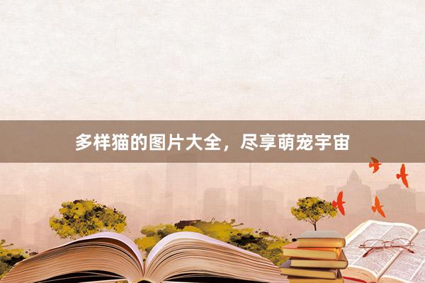 多样猫的图片大全，尽享萌宠宇宙