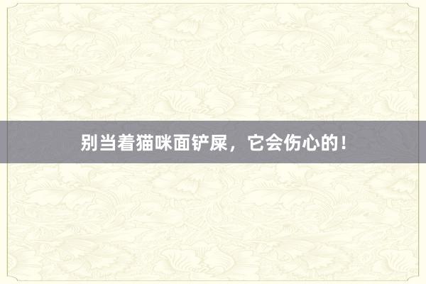 别当着猫咪面铲屎，它会伤心的！