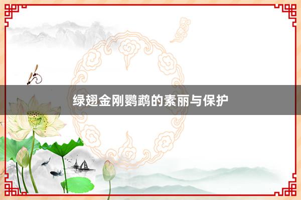 绿翅金刚鹦鹉的素丽与保护